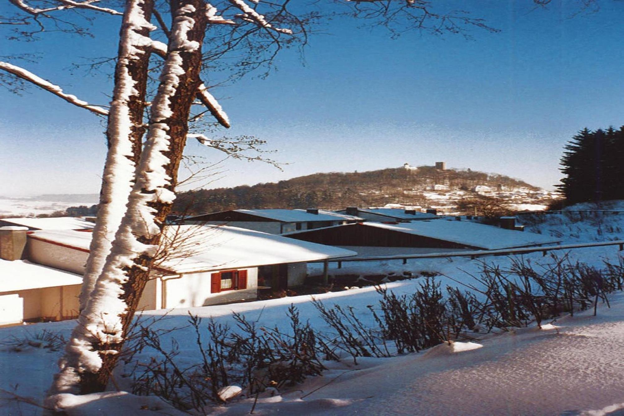 Ferienwohnung Im Ferienpark Falkenstein Falkenstein  Bagian luar foto